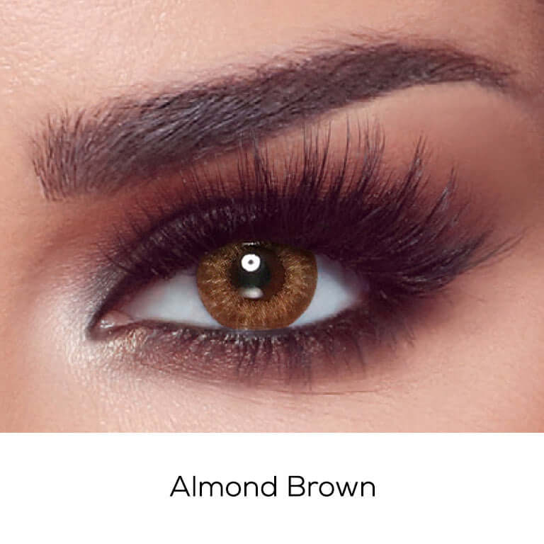 Bella Almond Brown